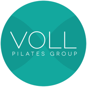 voll_logo_institucional-min