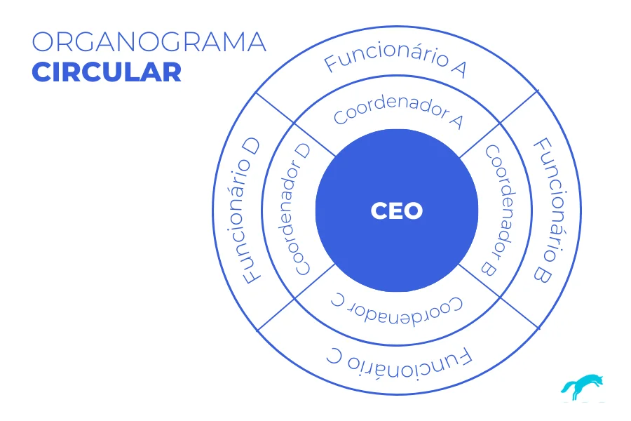 Exemplo de organograma circular
