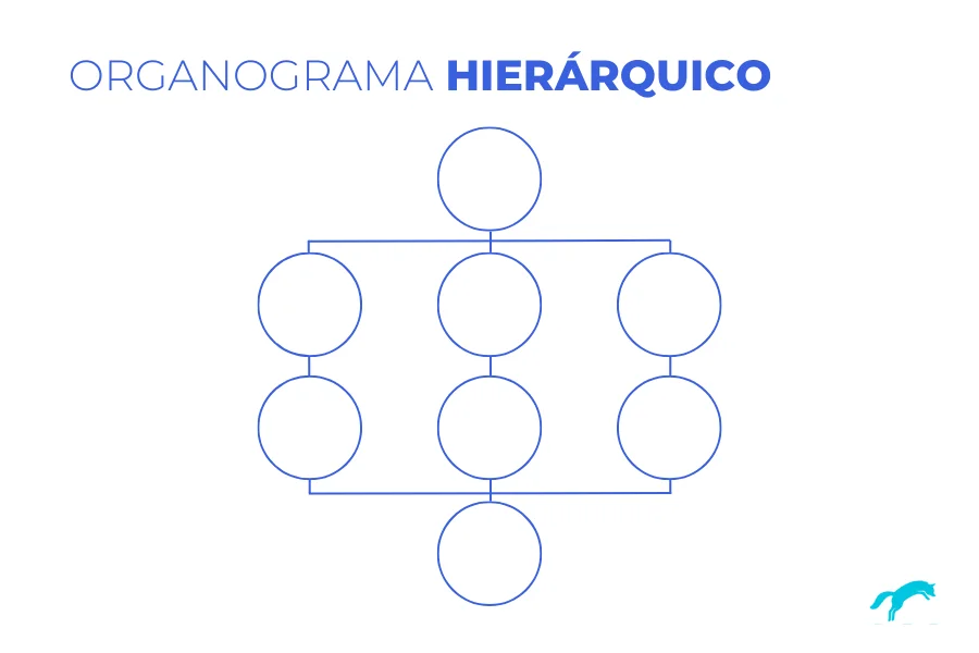 exemplo de organograma hierárquico