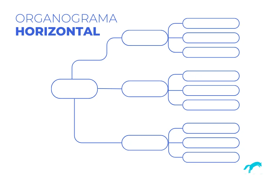 organograma do tipo horizontal
