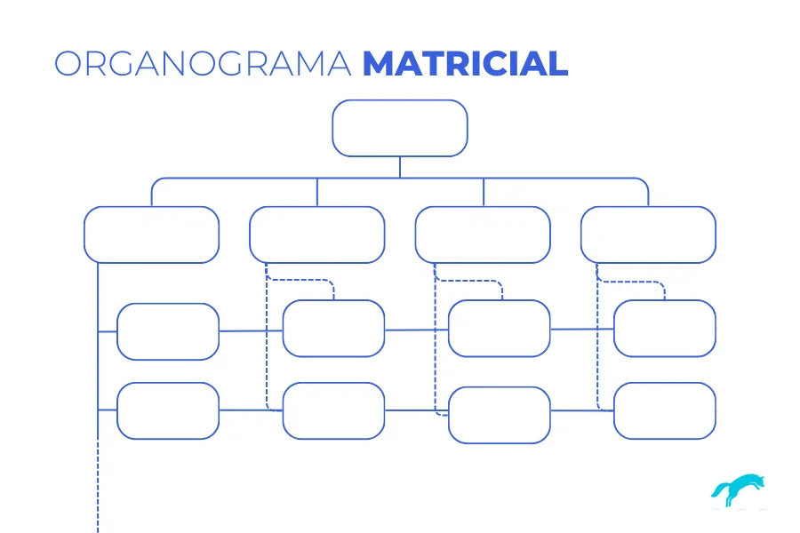 exemplo de organograma matricial